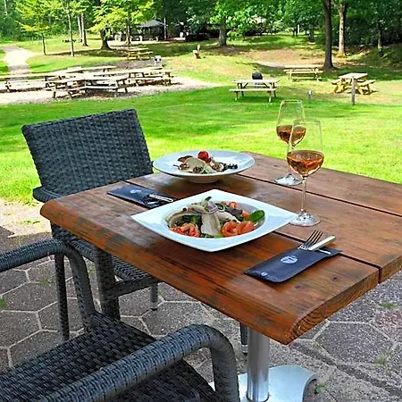 Fletcher Hotel-restaurant De Buunderkamp 4* Wolfheze