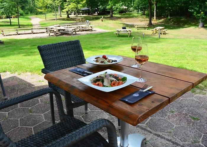 Hotel Fletcher Hotel-restaurant De Buunderkamp Wolfheze