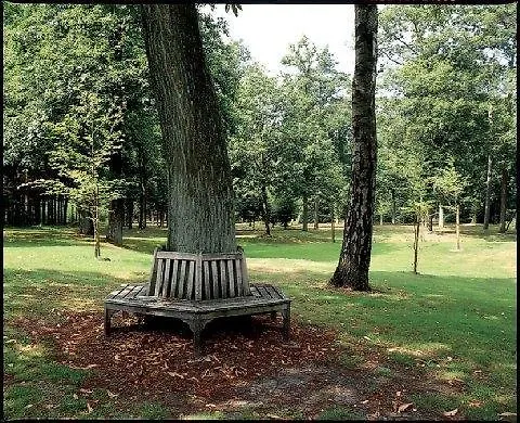 Hotel Fletcher Hotel-restaurant De Buunderkamp Wolfheze