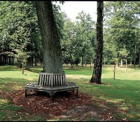 Отель Fletcher Hotel-restaurant De Buunderkamp Вольфхезе